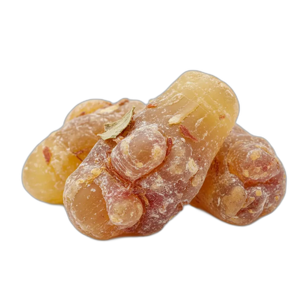 Boswellia serrata — fördert die Gelenkgesundheit auf natürliche Weise.